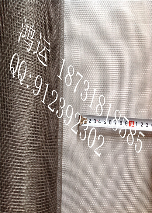 10目白色钛网
